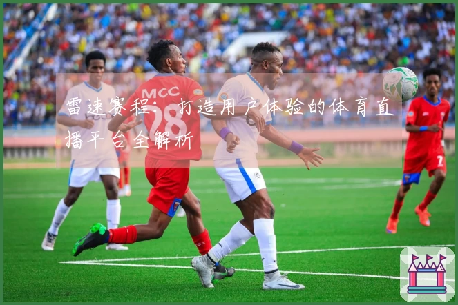 雷速赛程：打造用户体验的体育直播平台全解析