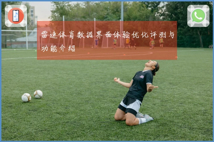 雷速体育数据界面体验优化评测与功能介绍