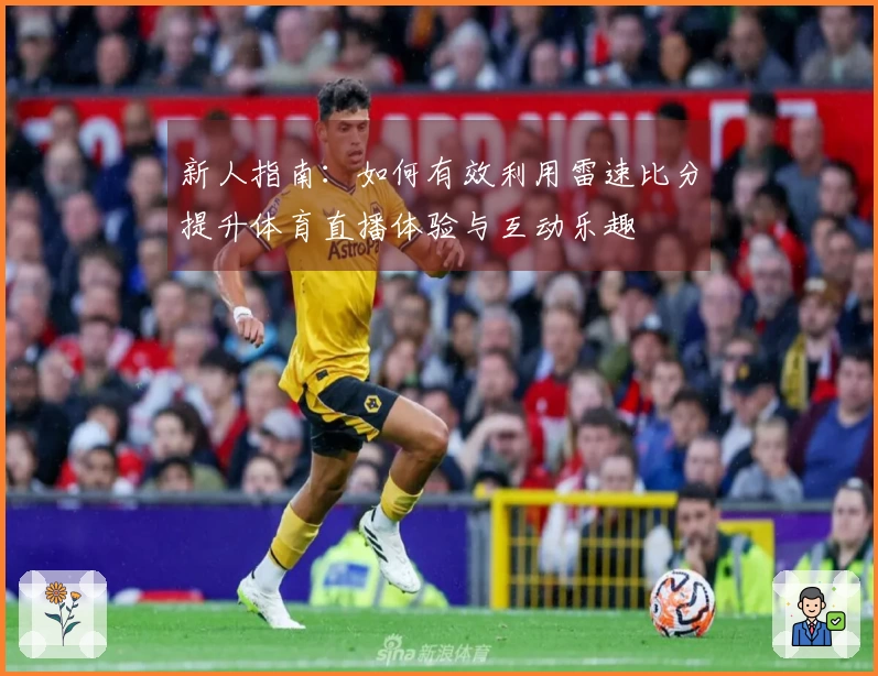 新人指南：如何有效利用雷速比分提升体育直播体验与互动乐趣