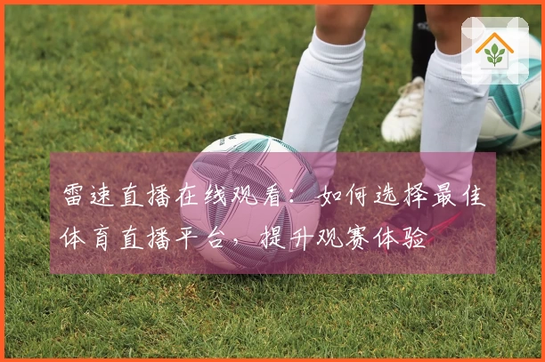 雷速直播在线观看：如何选择最佳体育直播平台，提升观赛体验